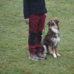 WhatsApp Image 2026-02-02 at 15.53.54 (2)