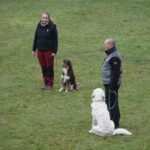 WhatsApp Image 2026-02-02 at 15.53.54 (4)