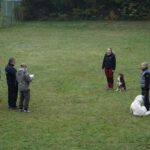 WhatsApp Image 2026-02-02 at 15.53.54 (6)