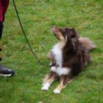 WhatsApp Image 2026-02-02 at 15.53.54 (7)