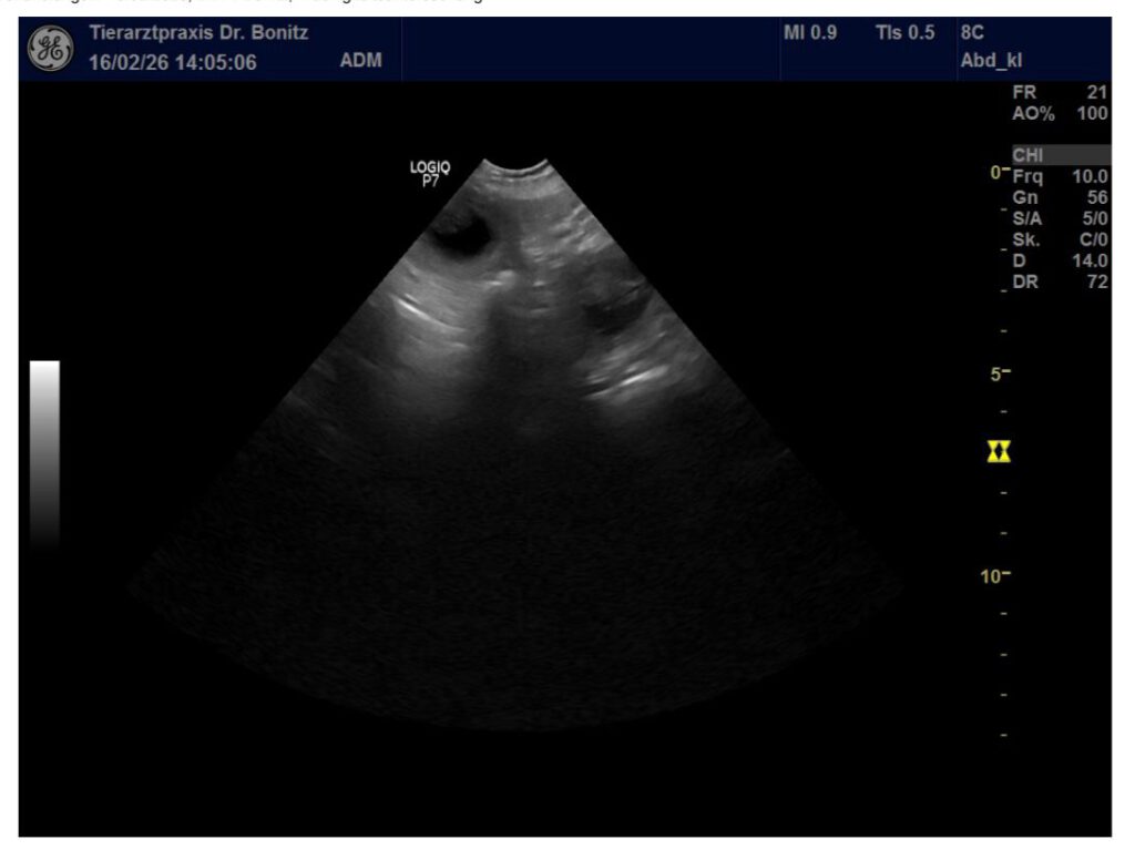 WhatsApp Image 2026-02-17 at 09.30.21