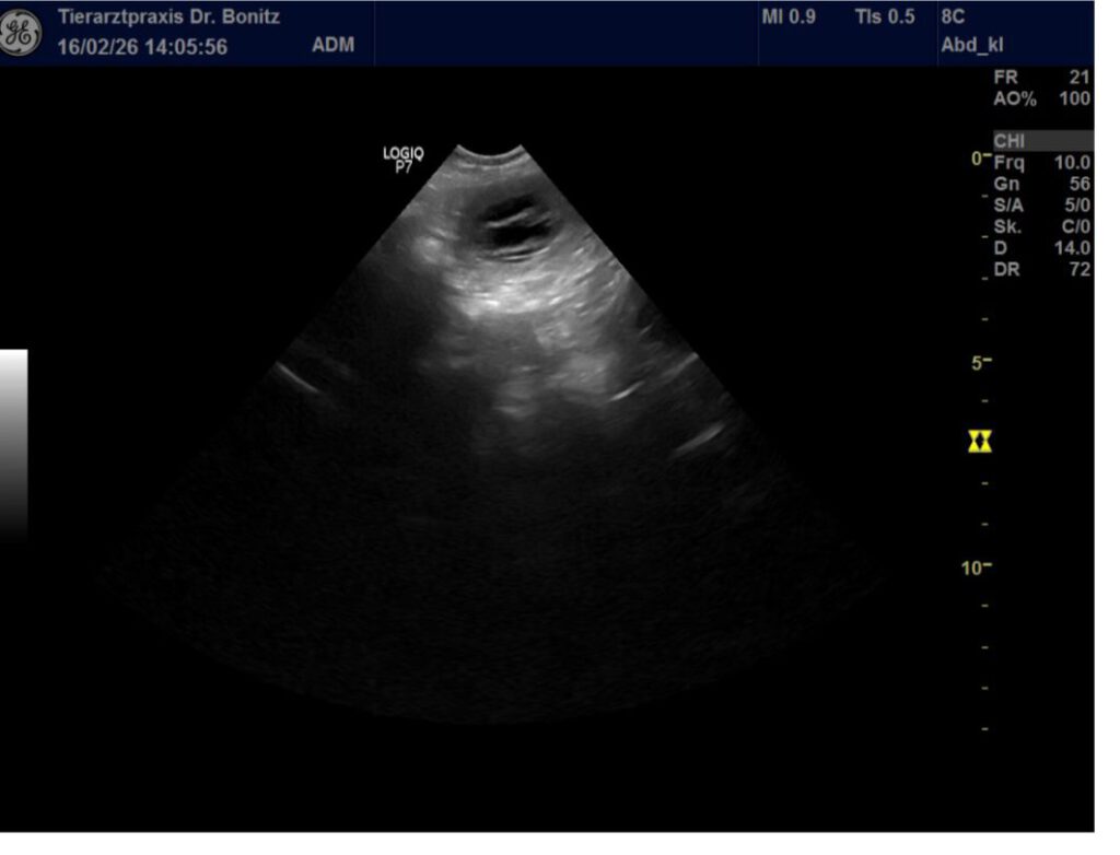 WhatsApp Image 2026-02-17 at 09.30.21 (2)